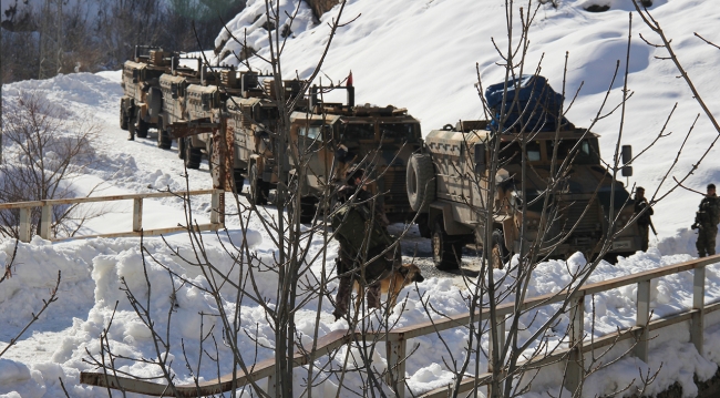 Hakkari'de hava destekli terör operasyonu